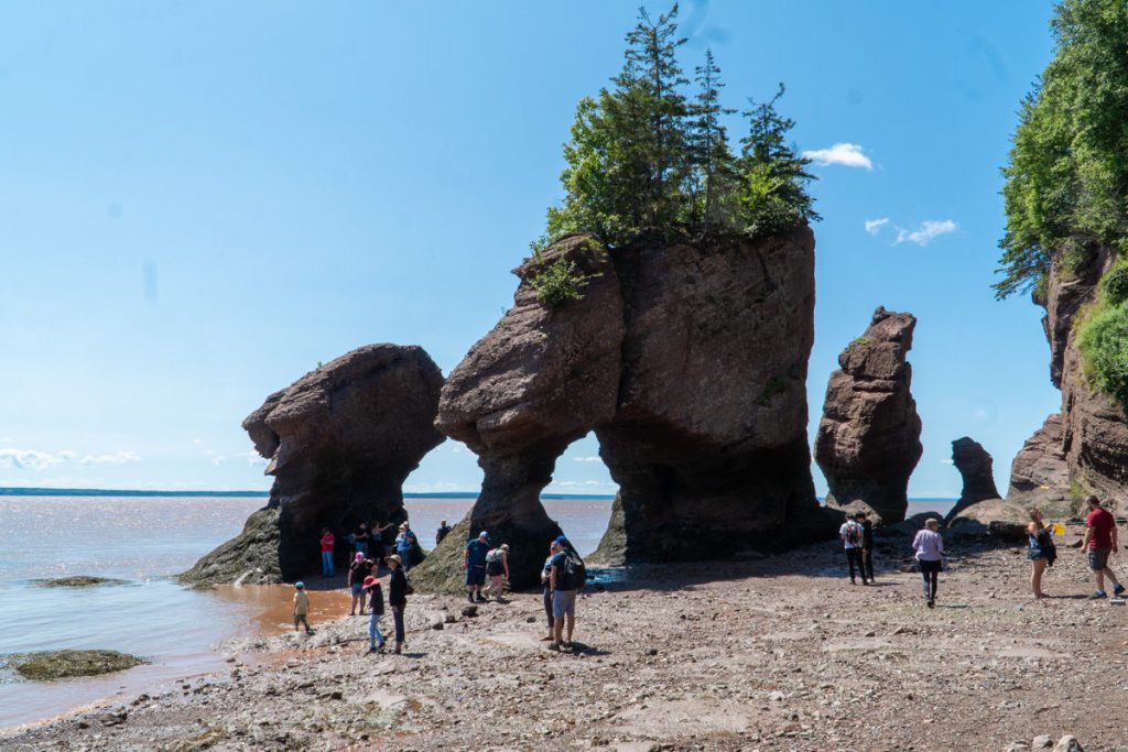 People by Flower Pot rocks at Hopewell Rocks