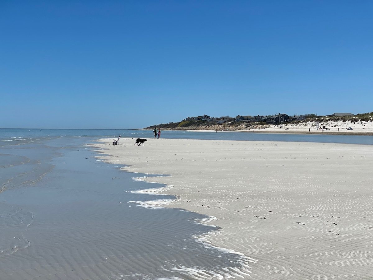 a dog running on a sand bar on Mayflower Beach