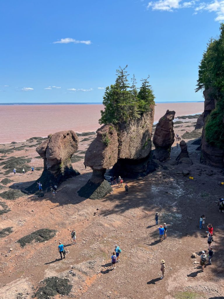 Hopewell rocks at low tide