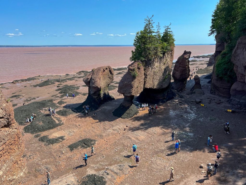 Flower Pot Rocks at Hopewell Rocks at low tide