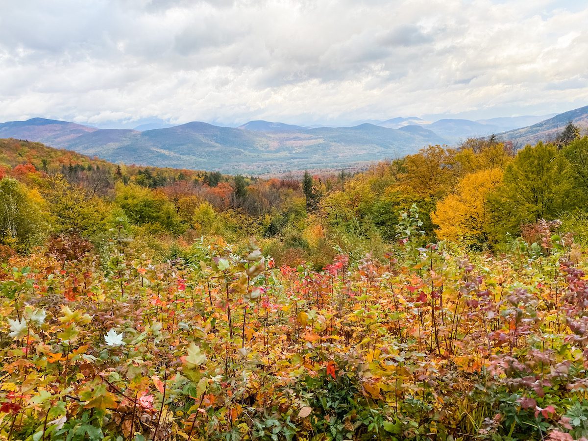 colorful fall foliage off Bear Notch Road in New Hampshire