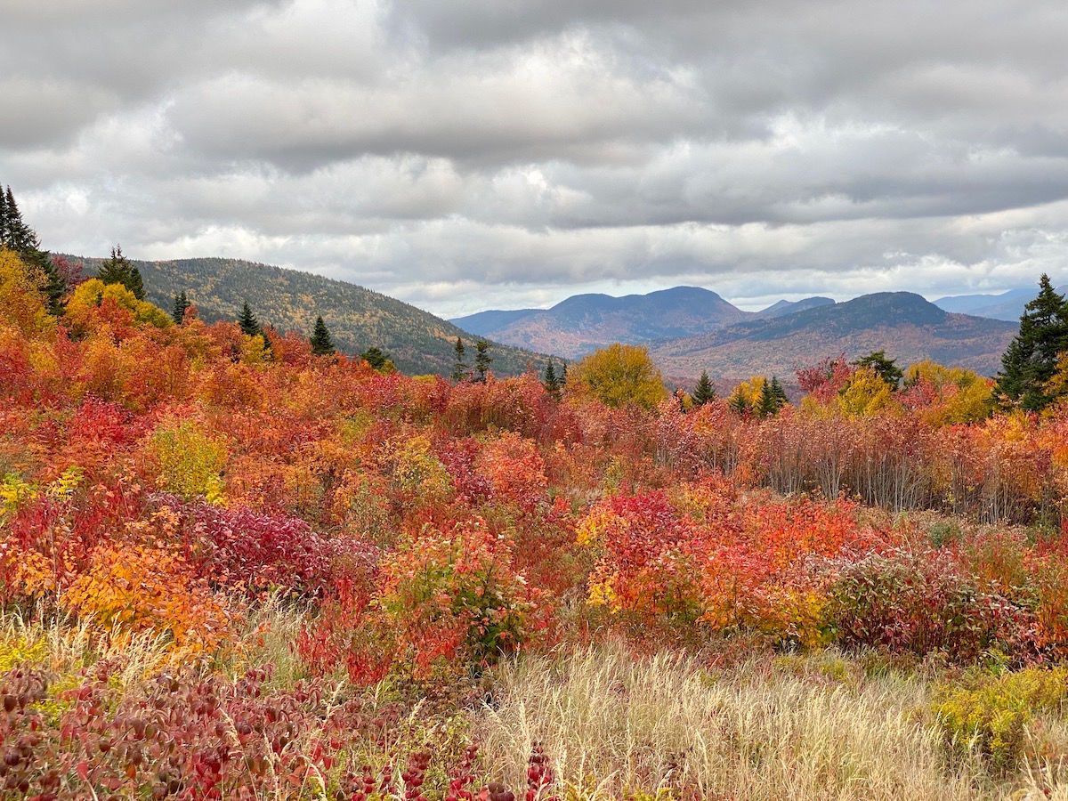 C. L. Grahama Wangan Overlook on the Kancamagus highway with a view of the fall colors on the White Mountains