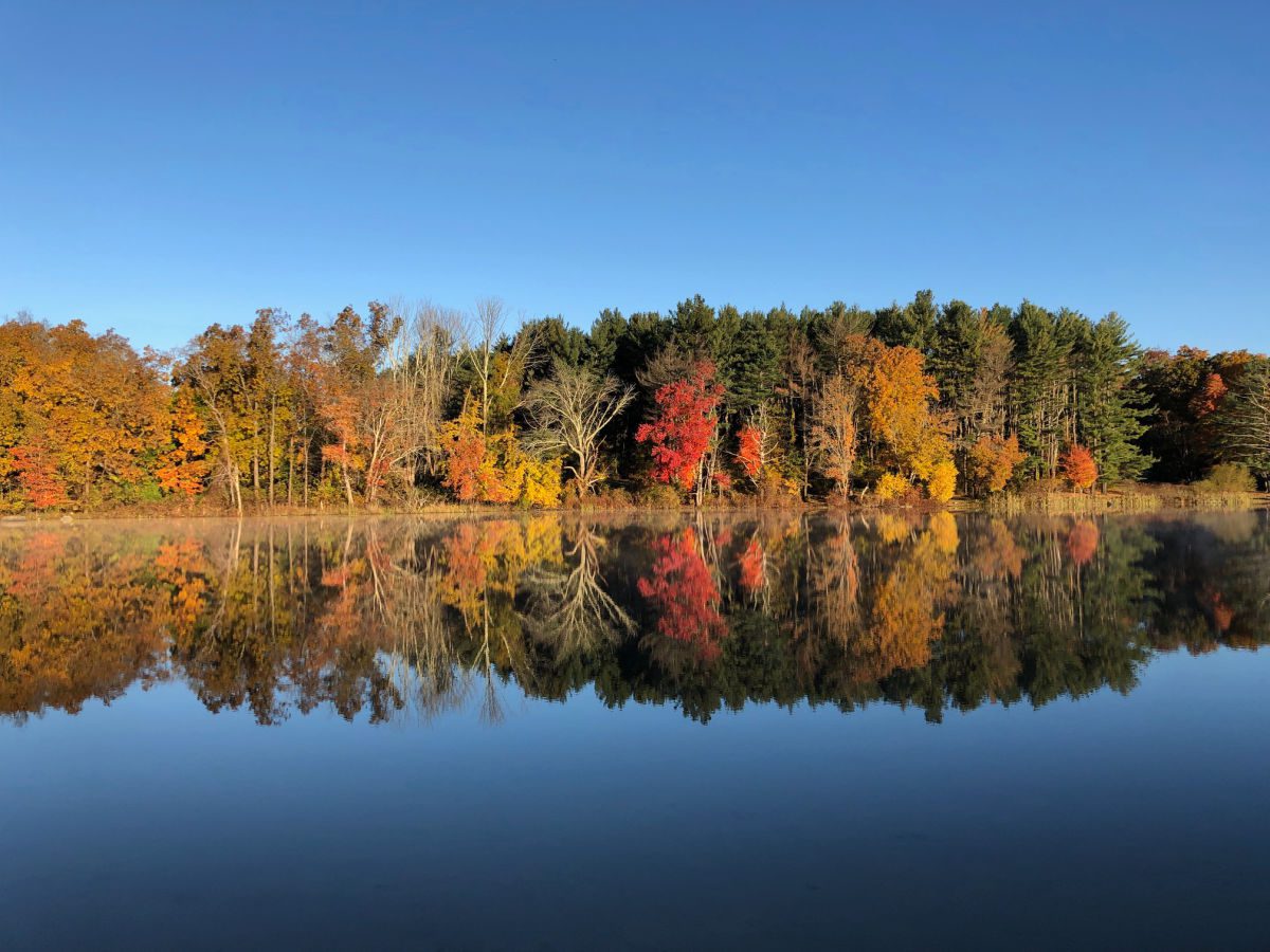 Reflections of trees with leaves changing fall colors in the water at Lincoln Woods