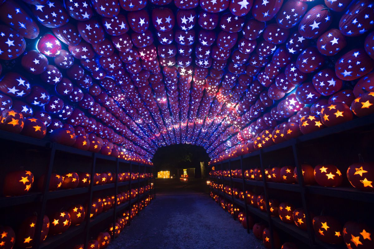 Pumpkin planetarium at Great Jack o Lantern Blaze