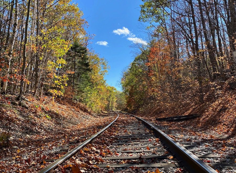 Railroad tracks through the woods in New Hampshire