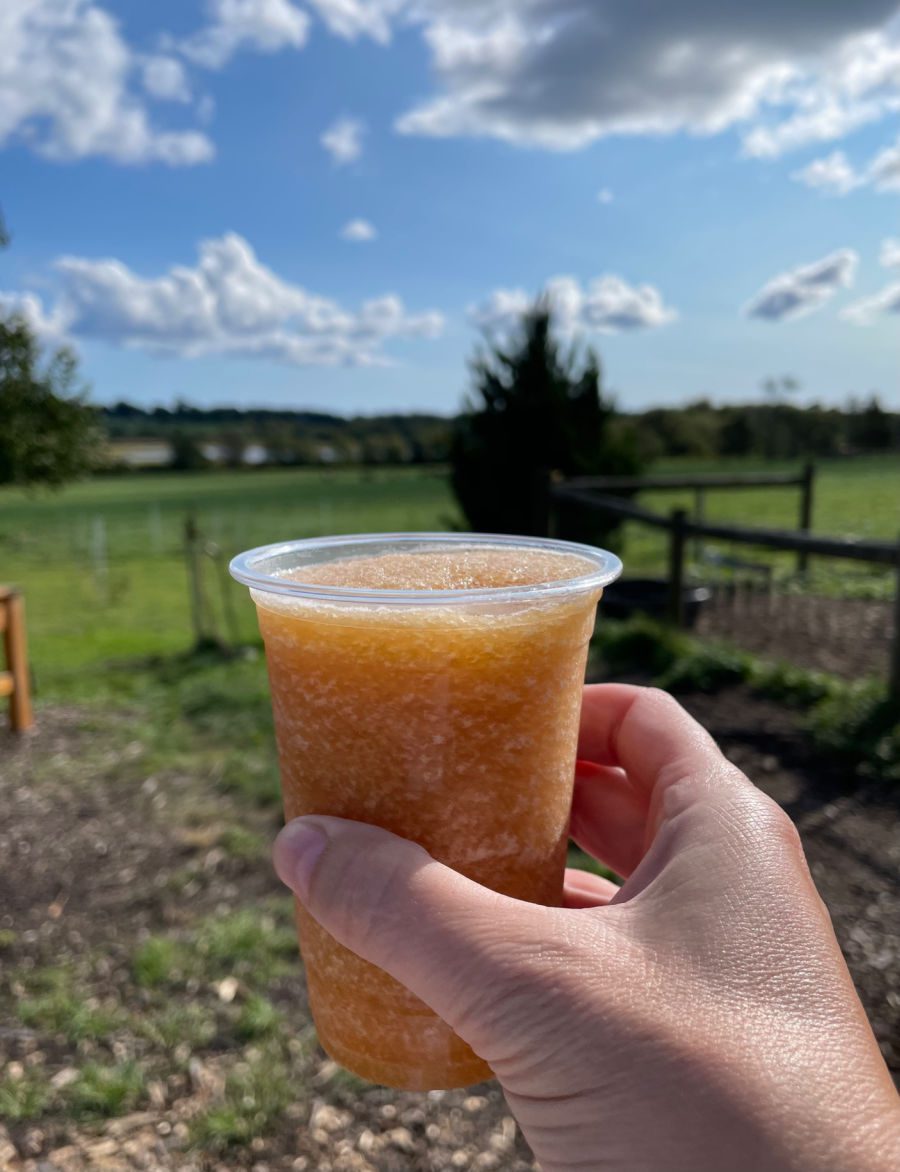 Apple cider slushy at Hard Pressed Cider Company