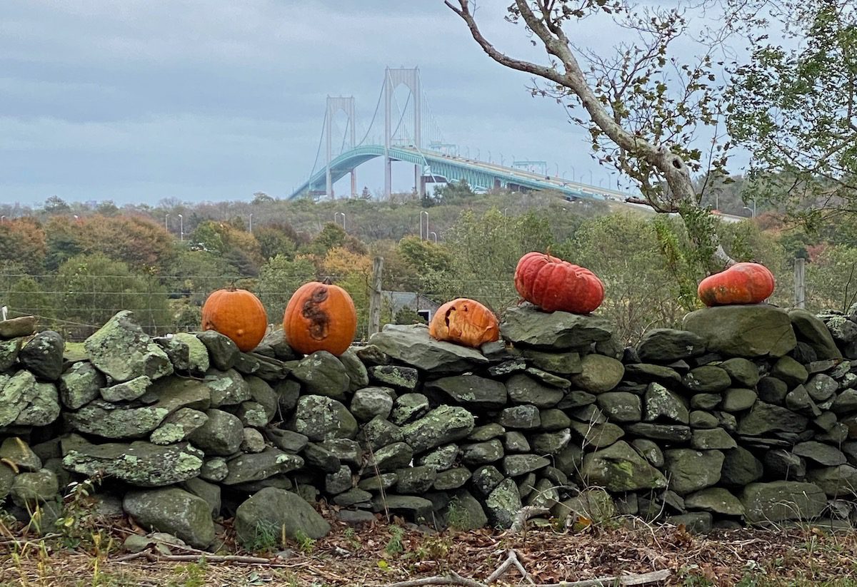 Pell Bridge in distance with pumpkins on a stone wall in front