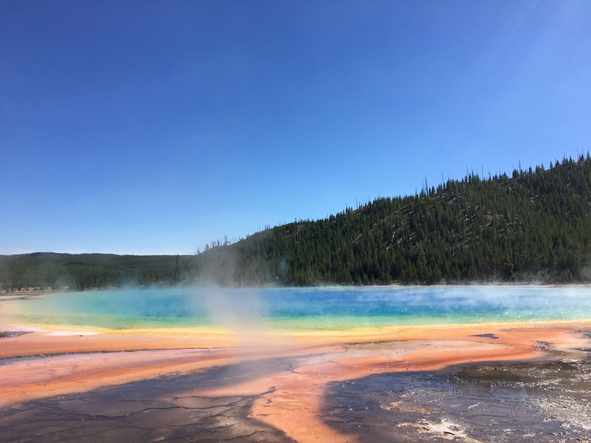 Your yellowstone vacation