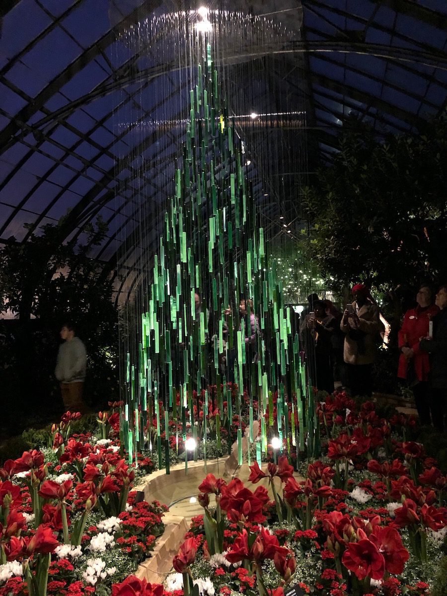 Glass Christmas tree display with red flowers below