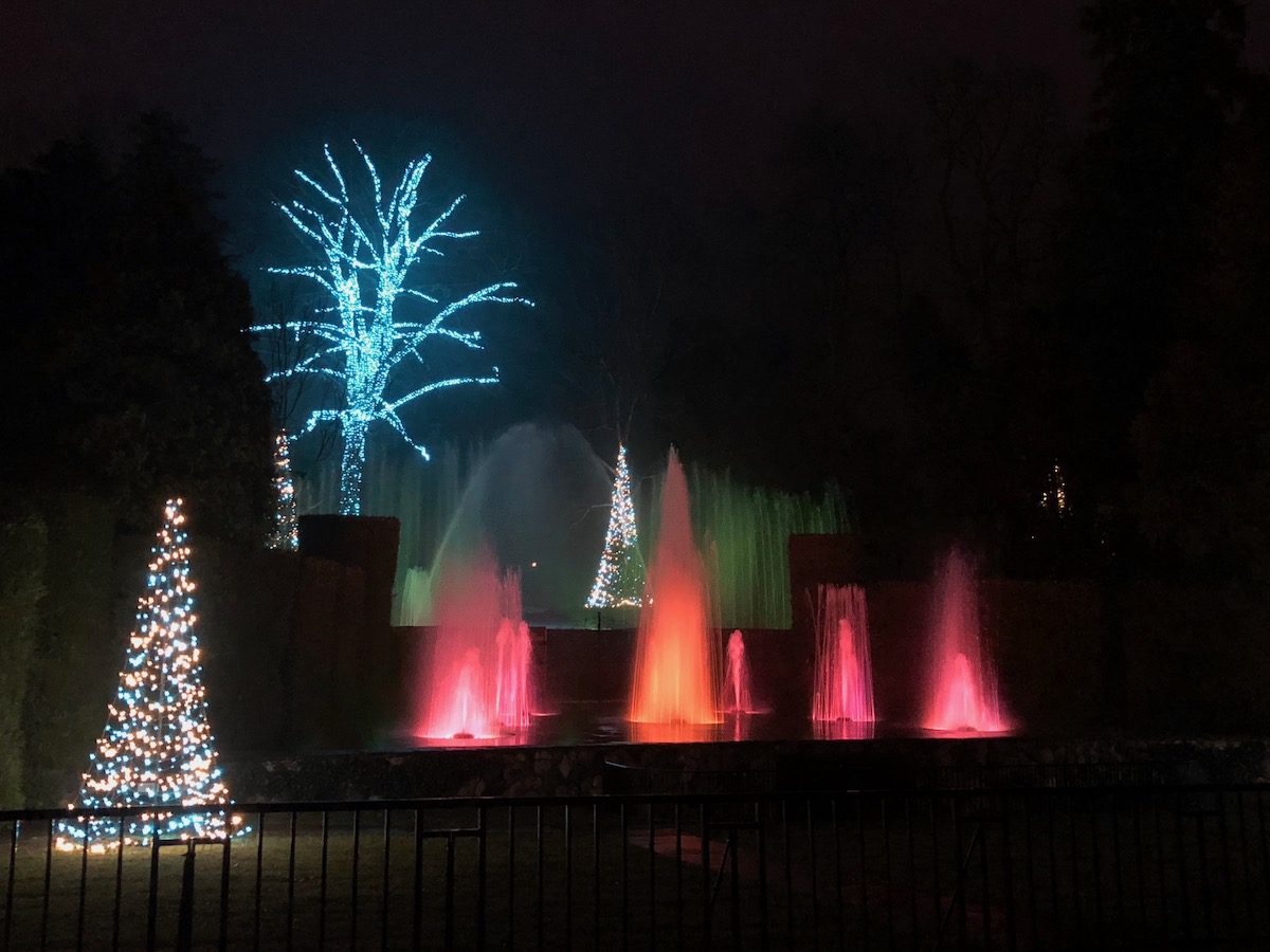 Fountains and trees lit up with colors