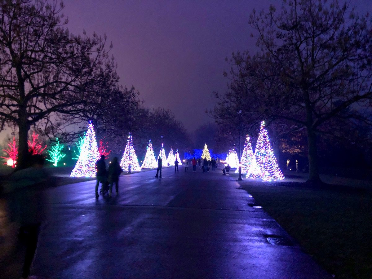 Tree walk through A Longwood Christmas