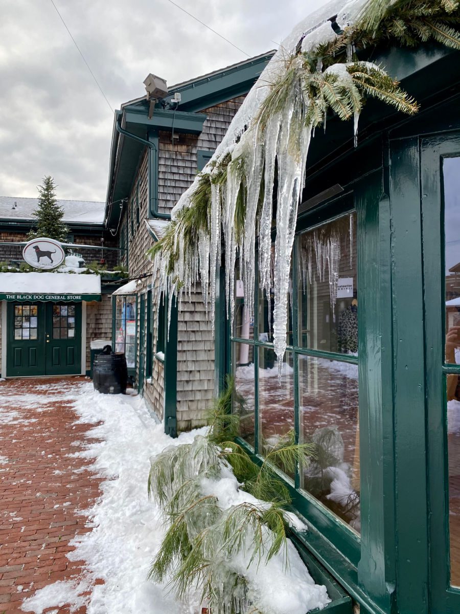 Icicles hanging from roof of shops on Bowen's Wharf