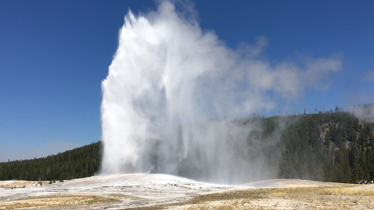 Old Faithful erupting