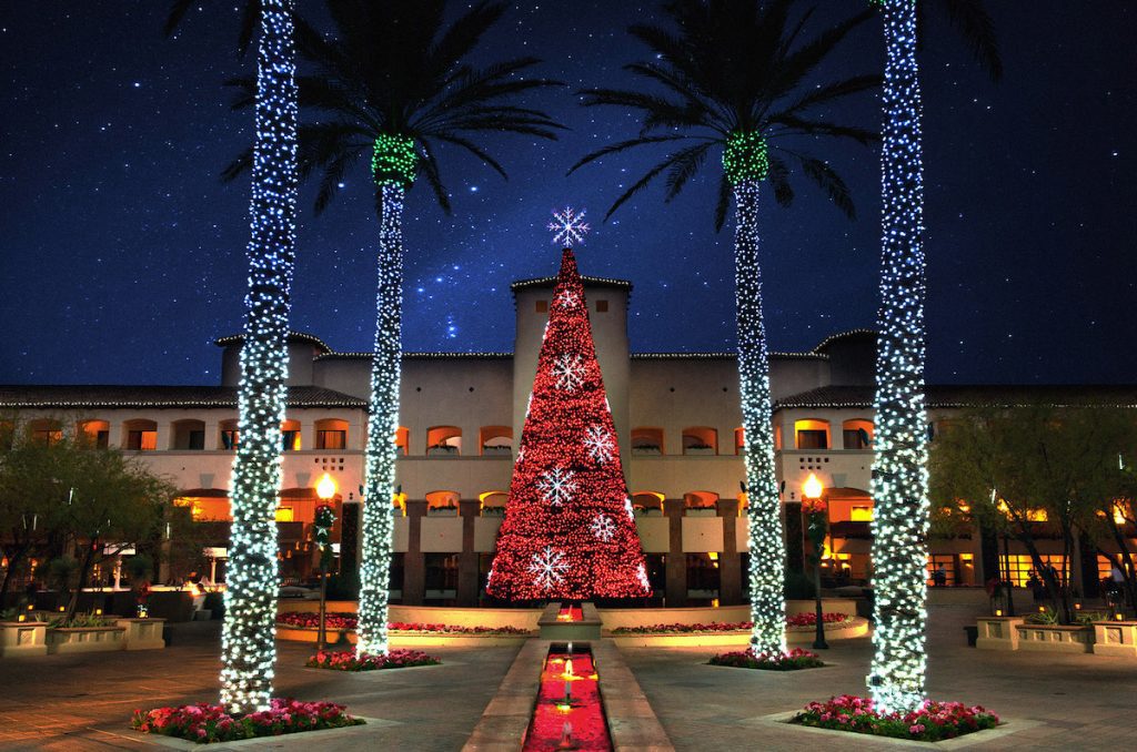 Christmas tree and palm trees with lights at the Fairmont Scottsdale Princess