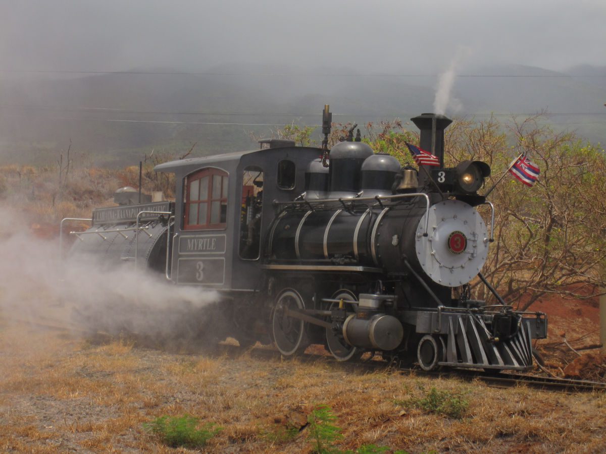 Sugar Cane Steam Train
