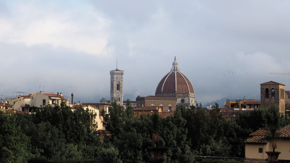 Duomo and bell tower from the Boboli gardens
