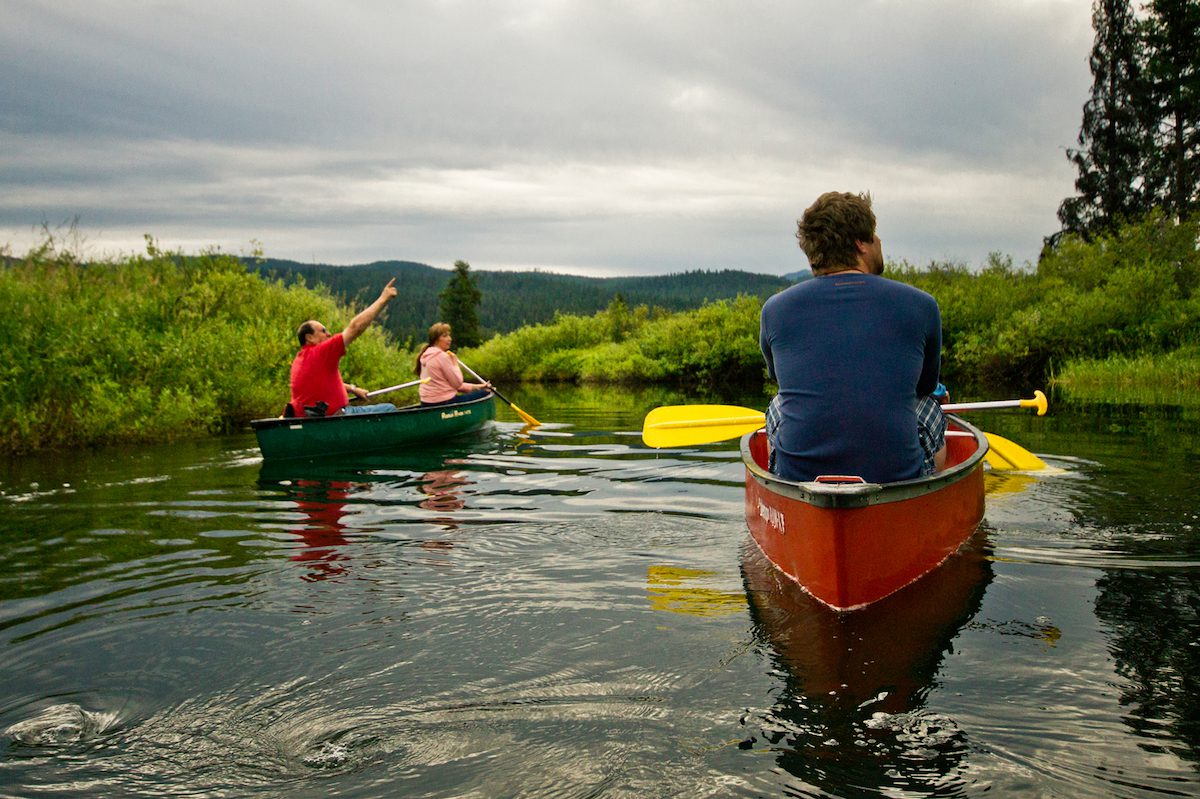 Two canoes on river with greenery