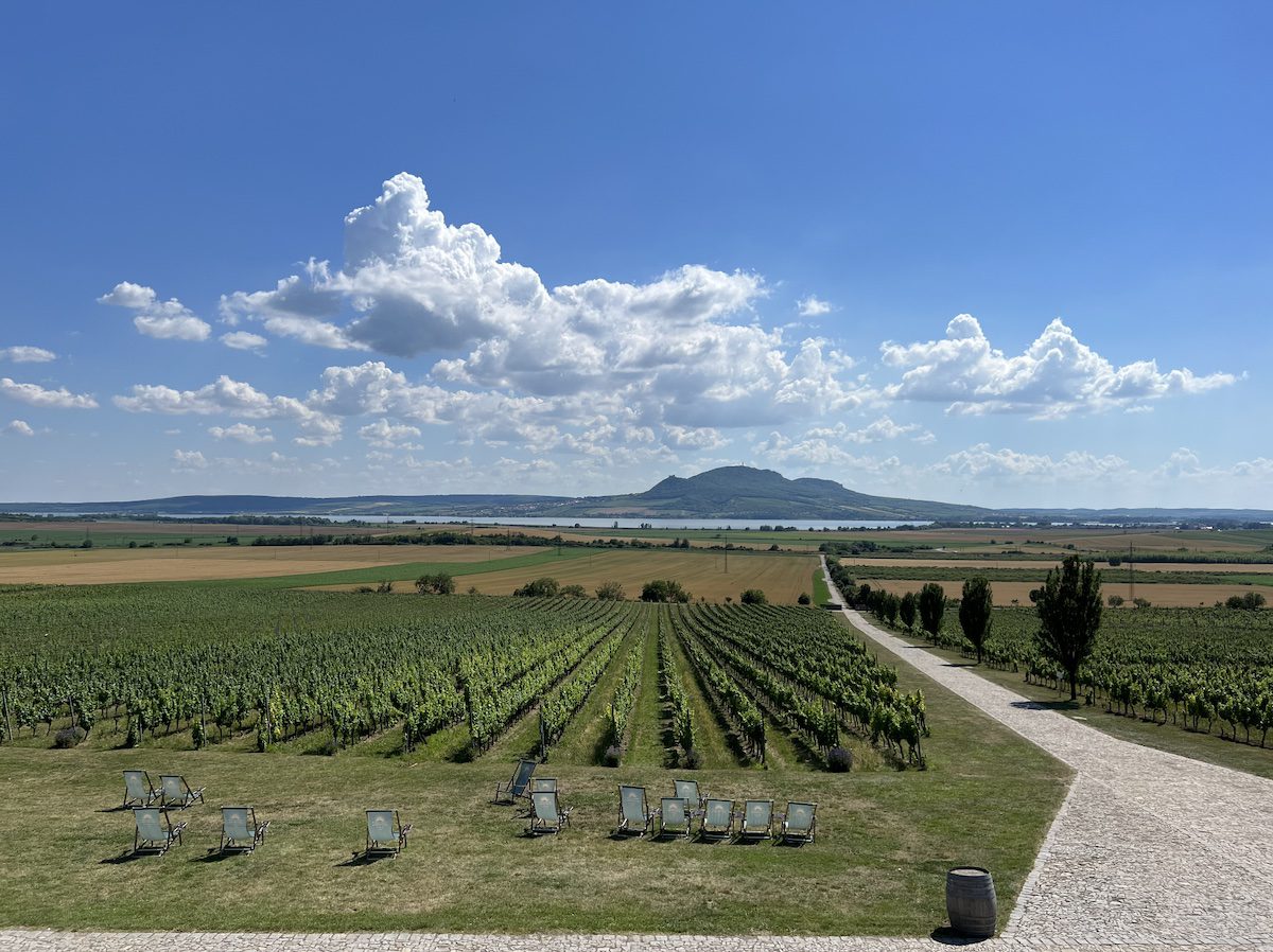 Landscape and vineyard in Moravia Czech Republic