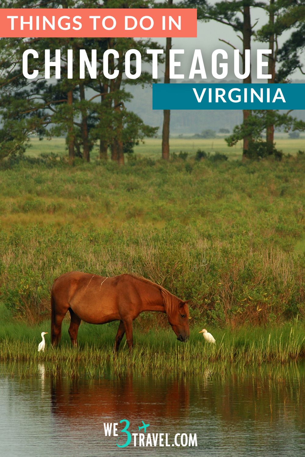 Things to do in Chincoteague VA