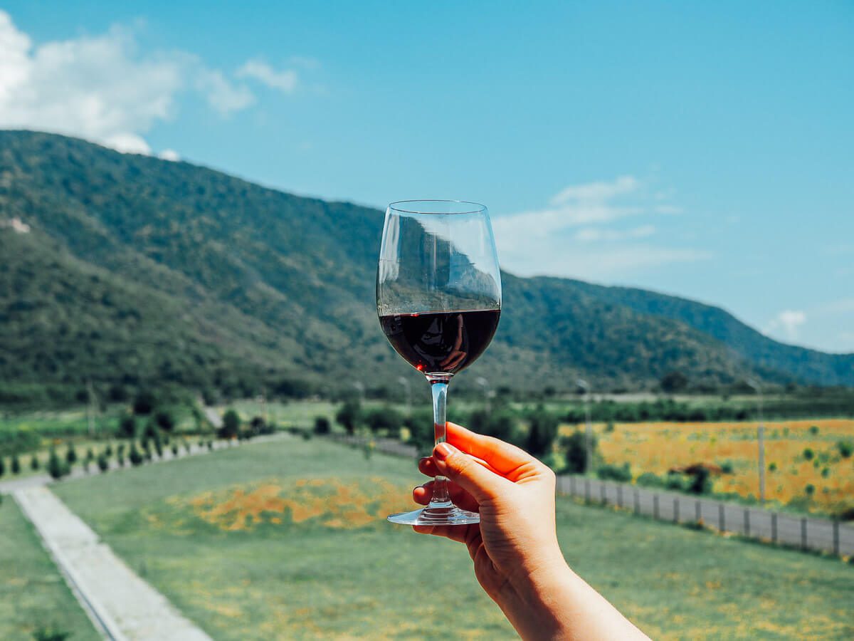 wine glass with red wine held up in front of a mountain