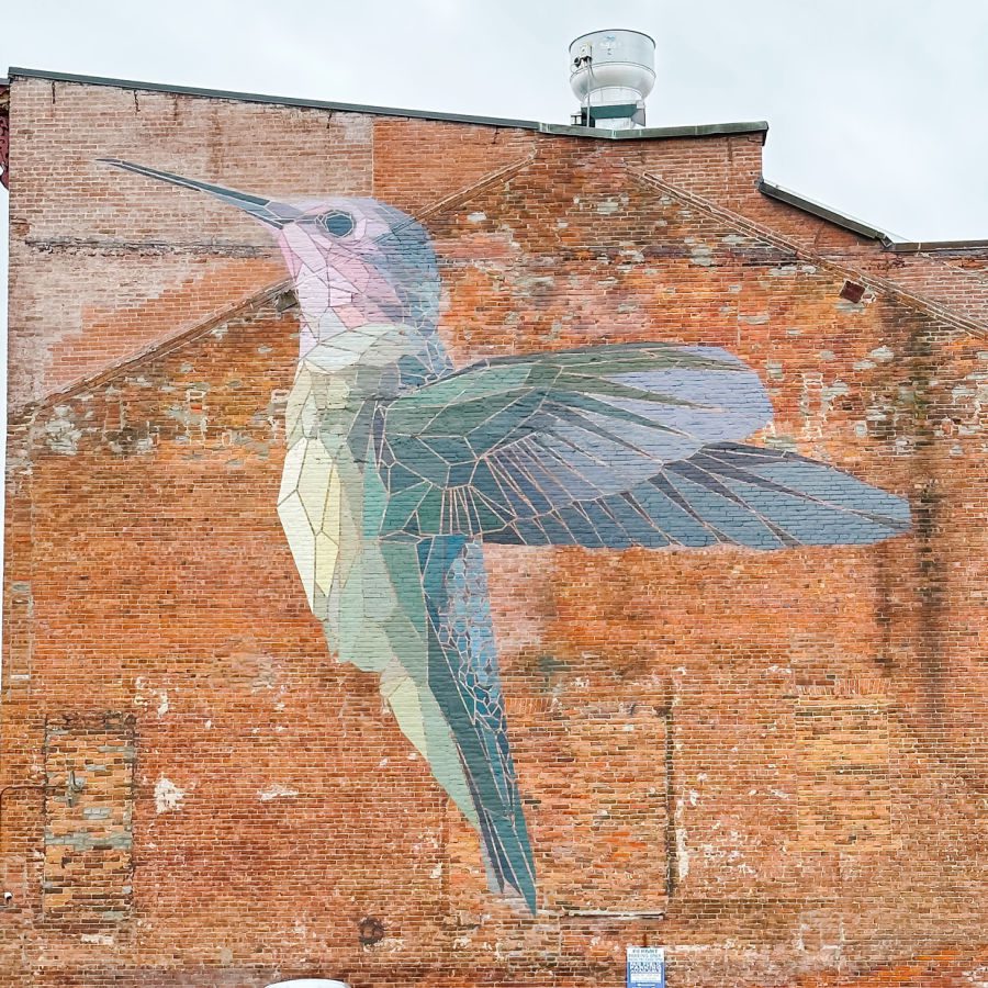 Bird mural in Burlington