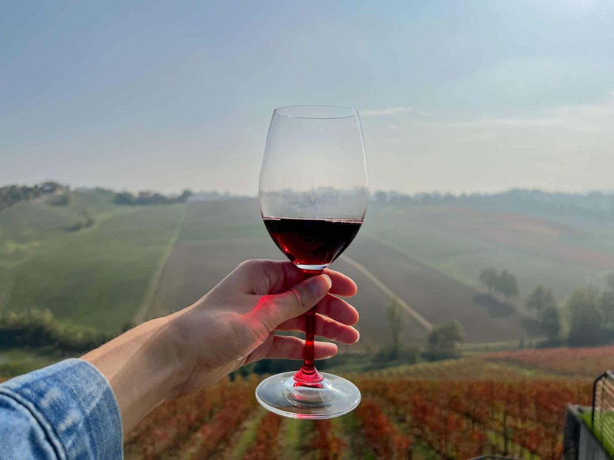 Lambrusco wine in glass overlooking vineyard 