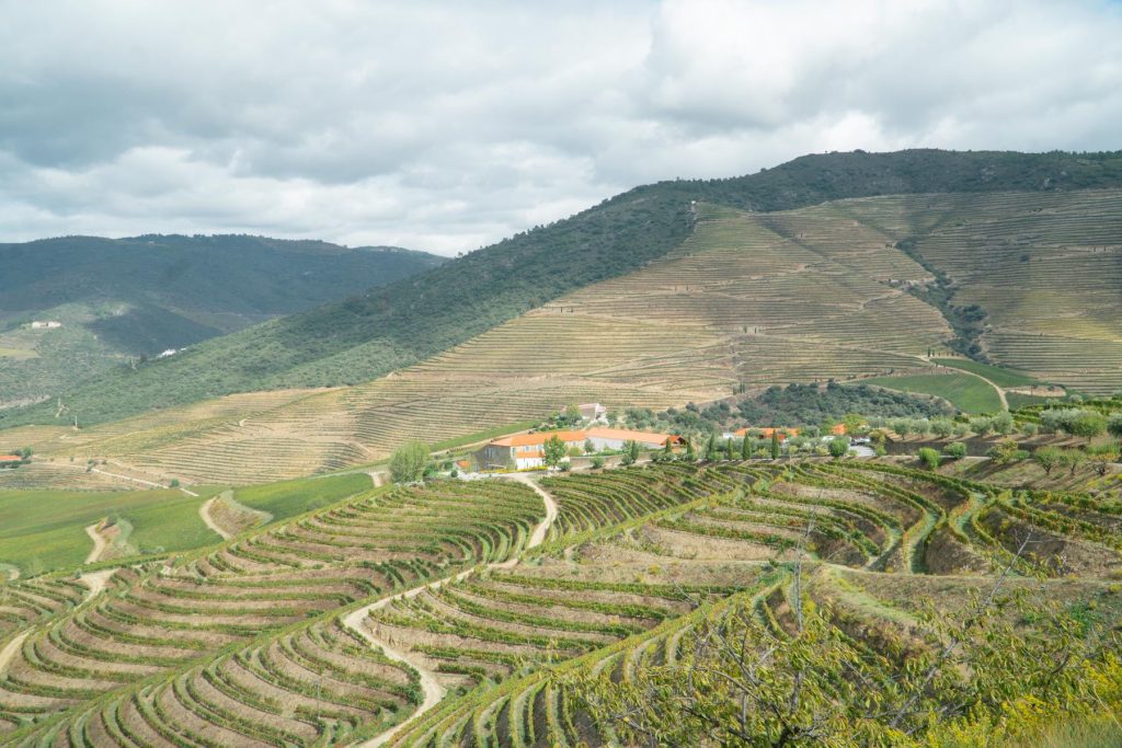 Duoro Valley terraced vineyards - best wine regions of Europe