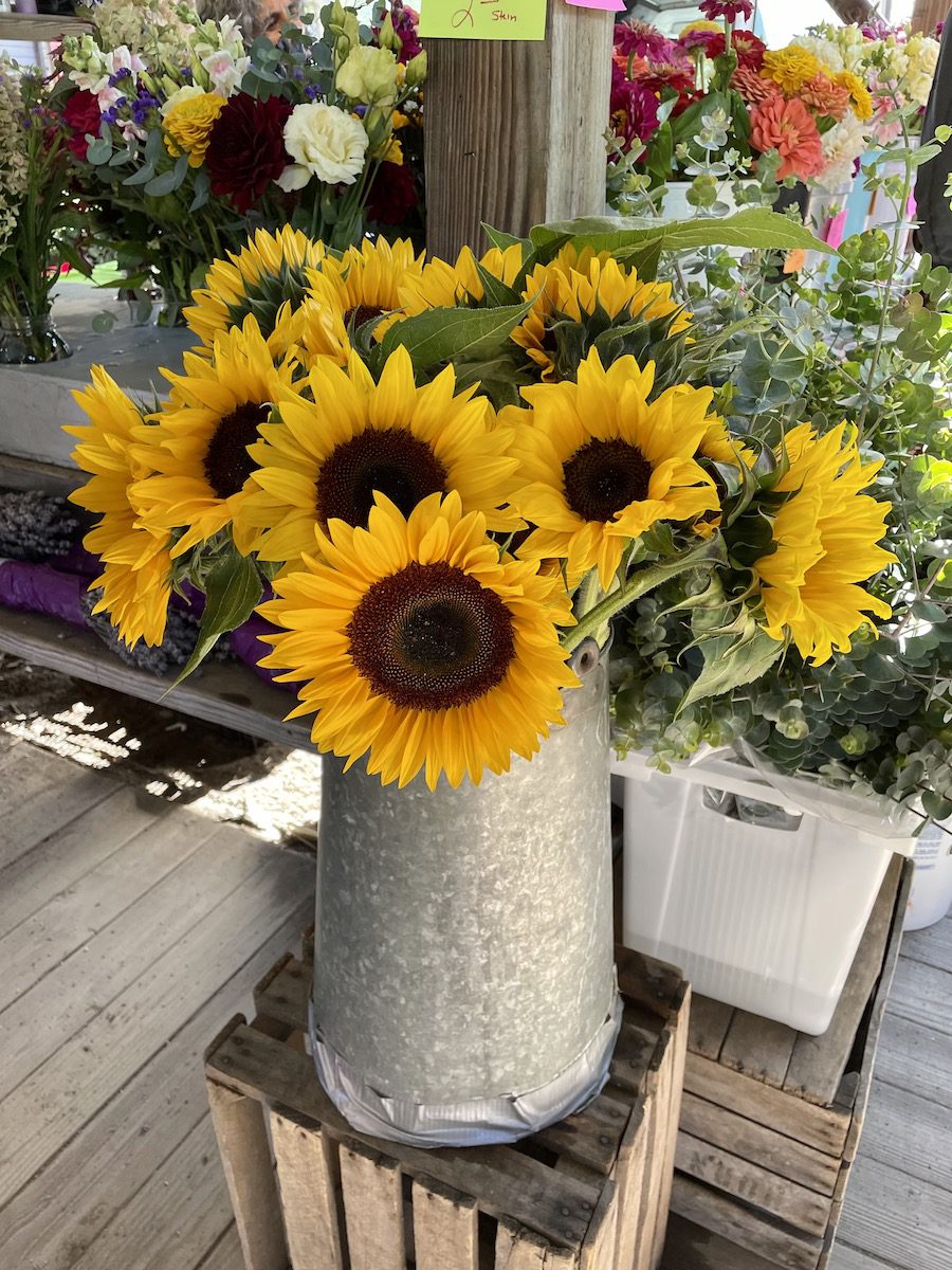 Sunflowers at the Ithaca Farmers Market