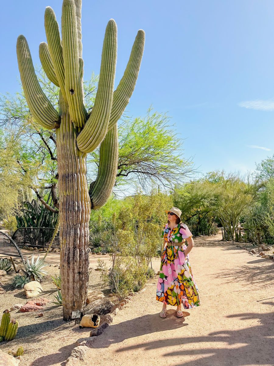 Tamara next to Saguaro cactus