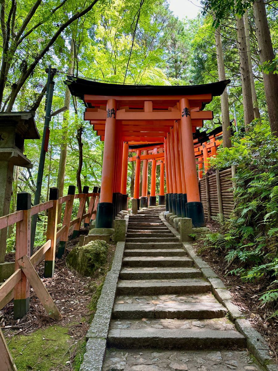 Torii gates at Fushimi Inari shrine