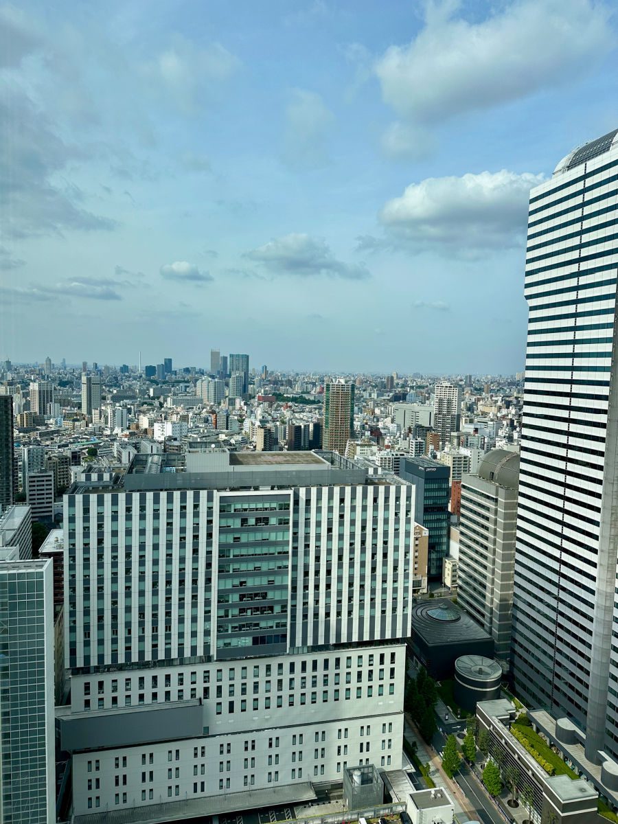 View from room at Hilton Tokyo