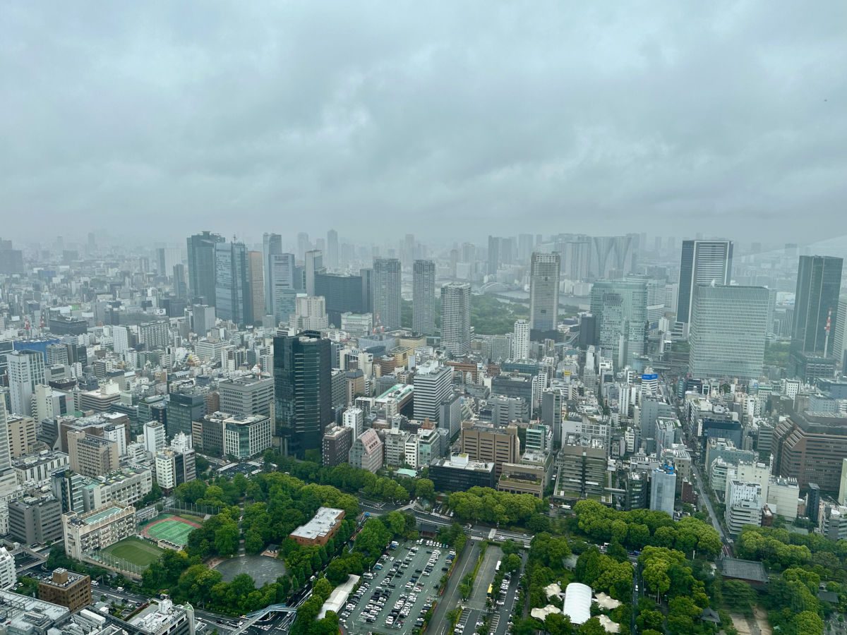 view from the Tokyo Tower