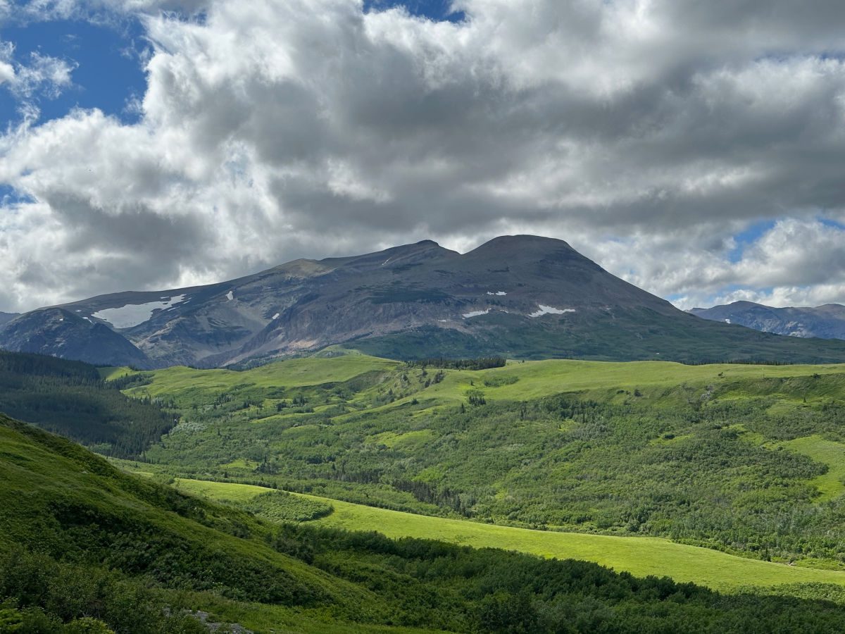 Green fields and Mountains in East Glacier Park