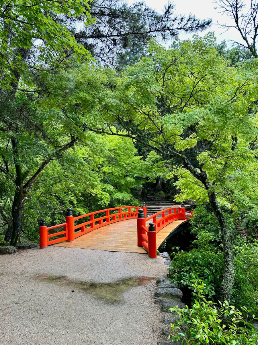Vermillion bridge under green trees