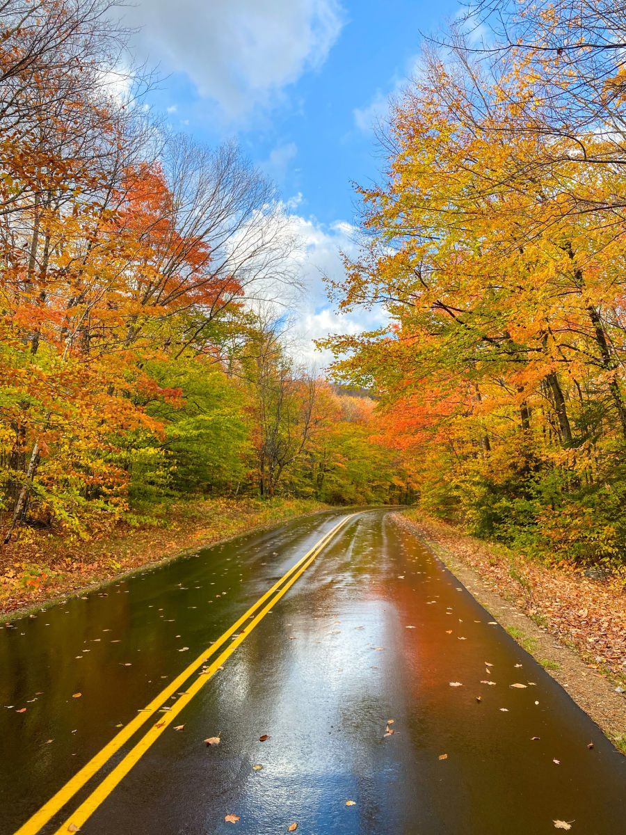 Bear Notch Road in the White Mountains