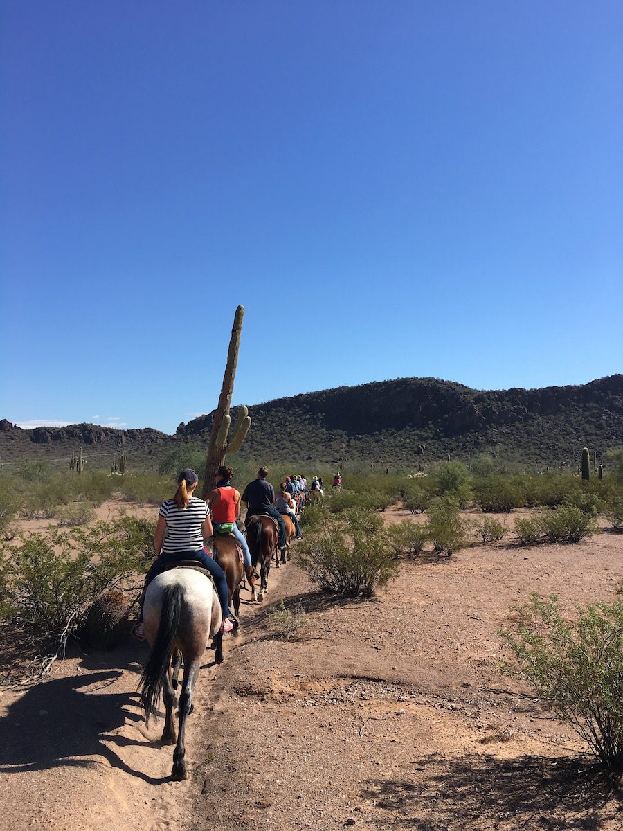 Trail ride at White Stallion ranch
