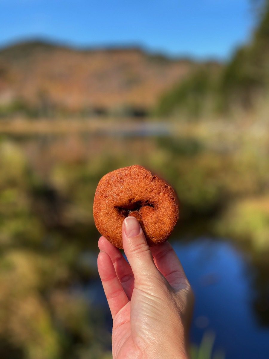 Apple cider donut from White Mountain cider company