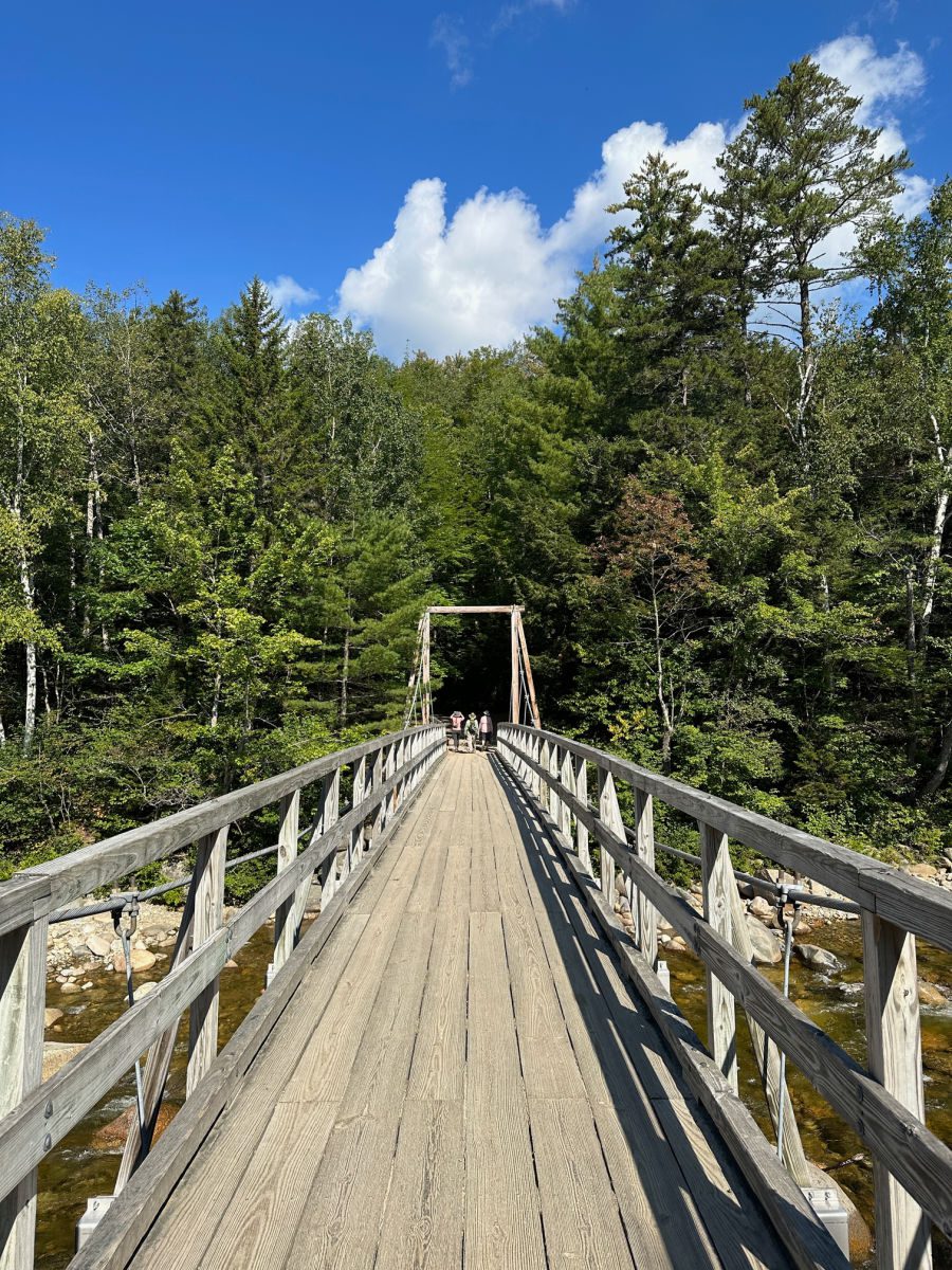 Lincoln Woods bridge