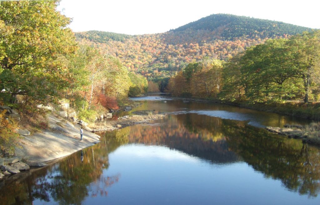 River and trees near covered bridge in Vermont