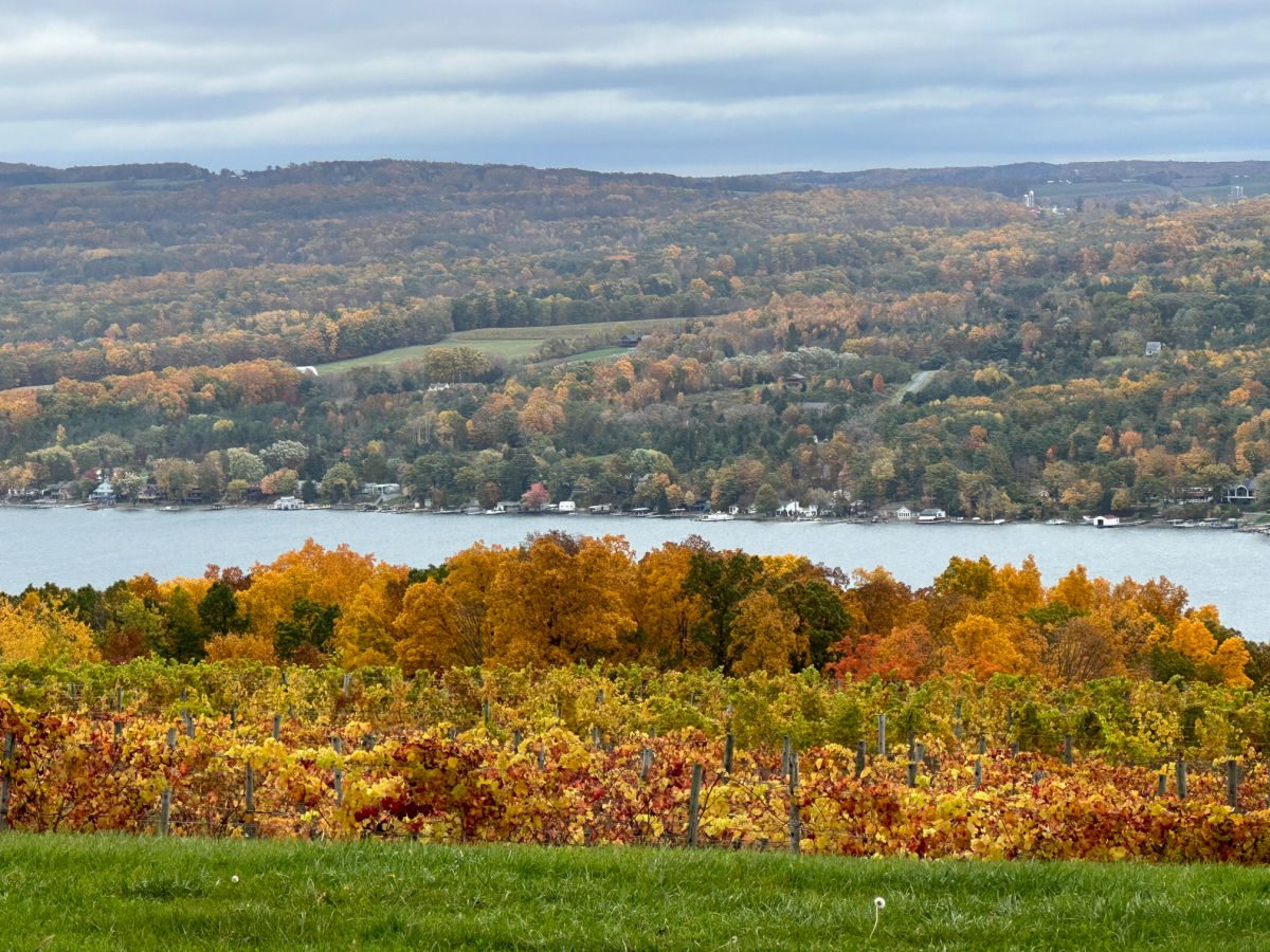 Things to do in the Finger Lakes - view in autumn of Keuka Lake from Dr. Frank's winery
