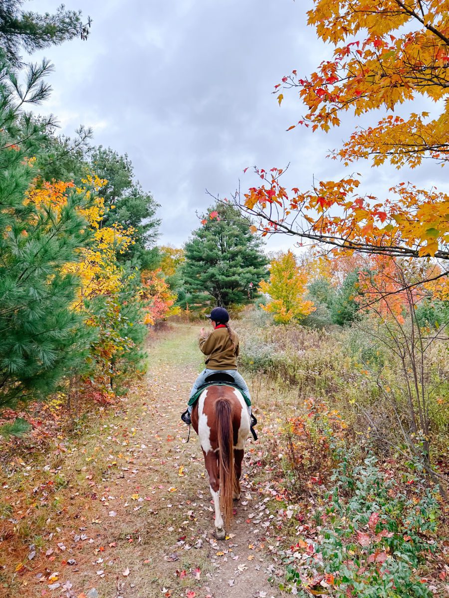 Horse back riding trail ride in Autumn