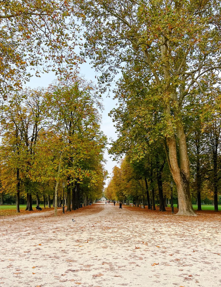 Ducal Park in Parma