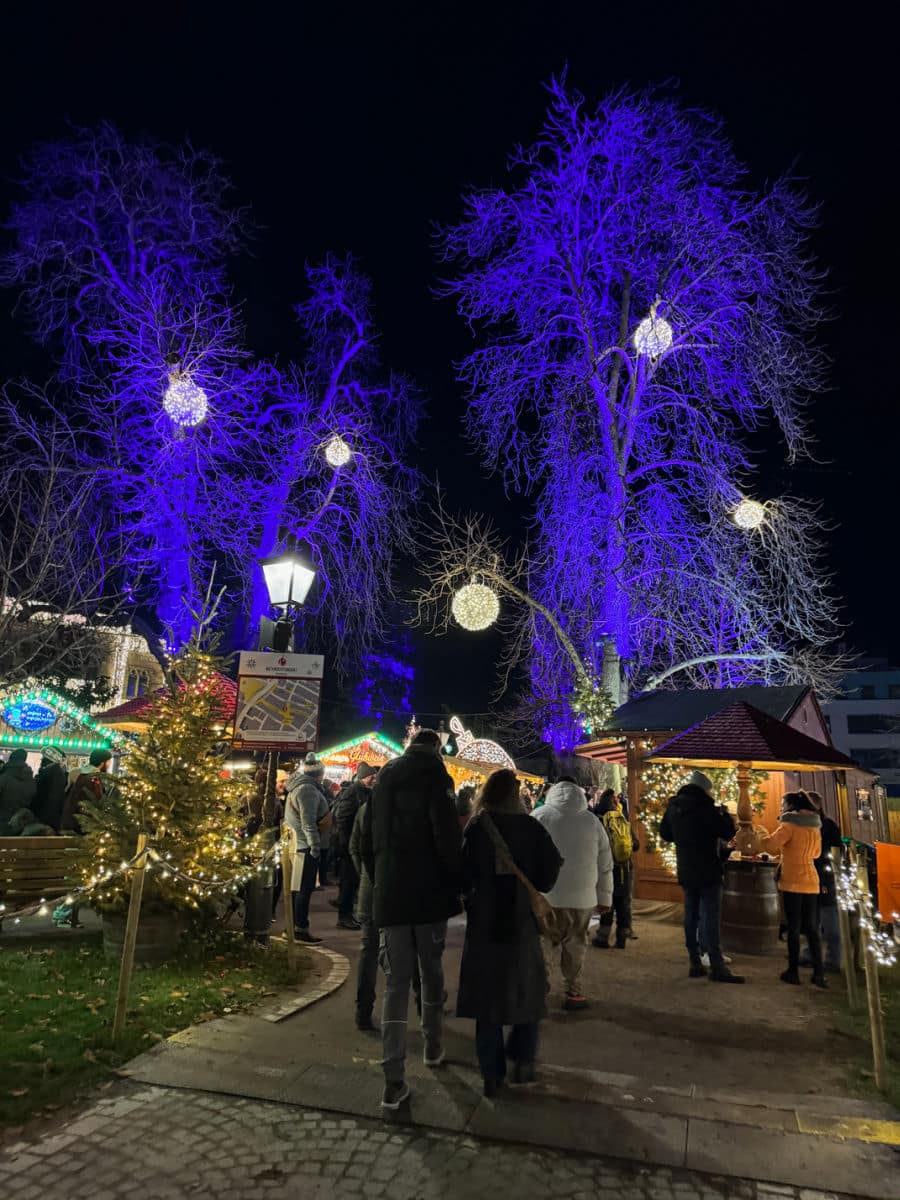 blue uplighting on trees with christmas stalls beneath