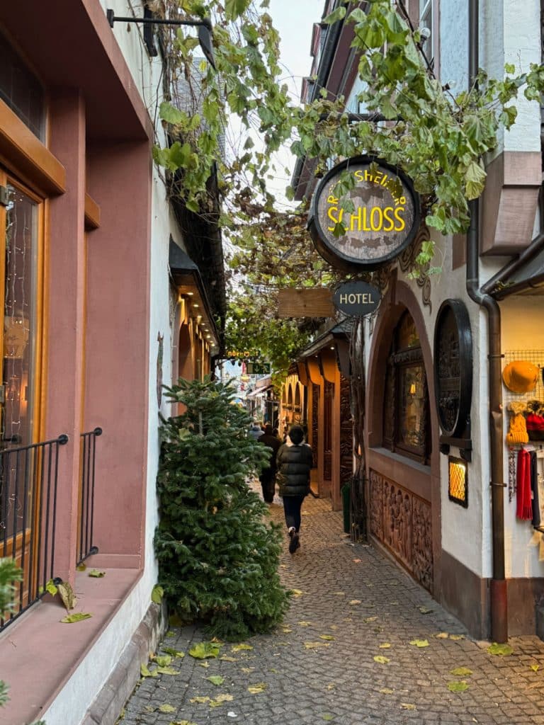 Drosselgasse street in Rudescheim