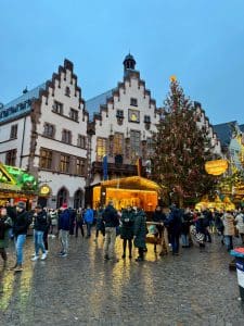 Romerplatz Christmas tree