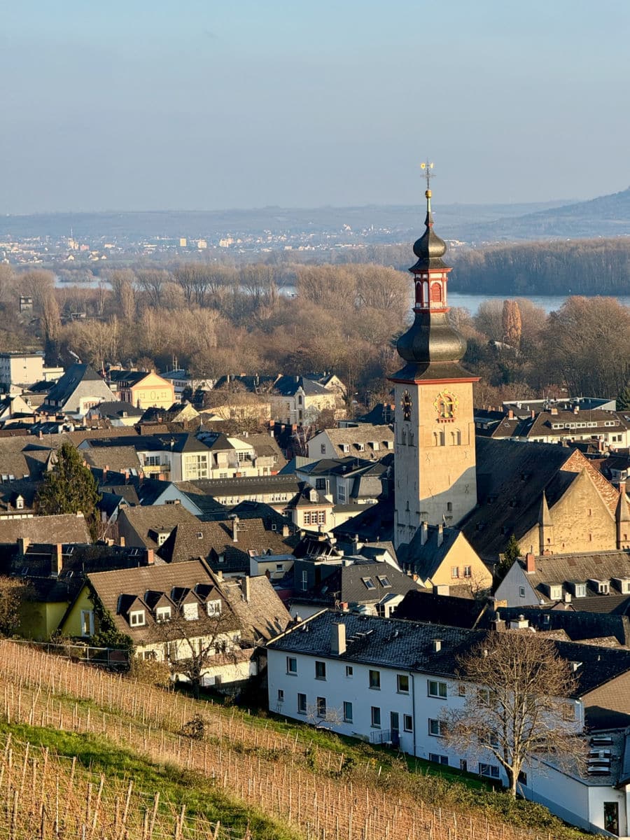 Rudesheim town from above
