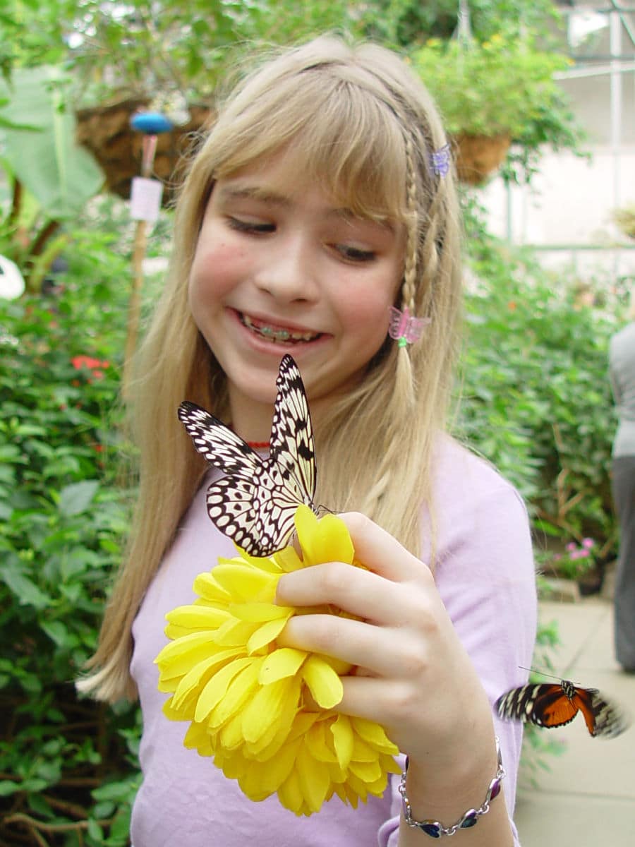 Girl with blond hair in braids holding yellow flower with black and white butterfly