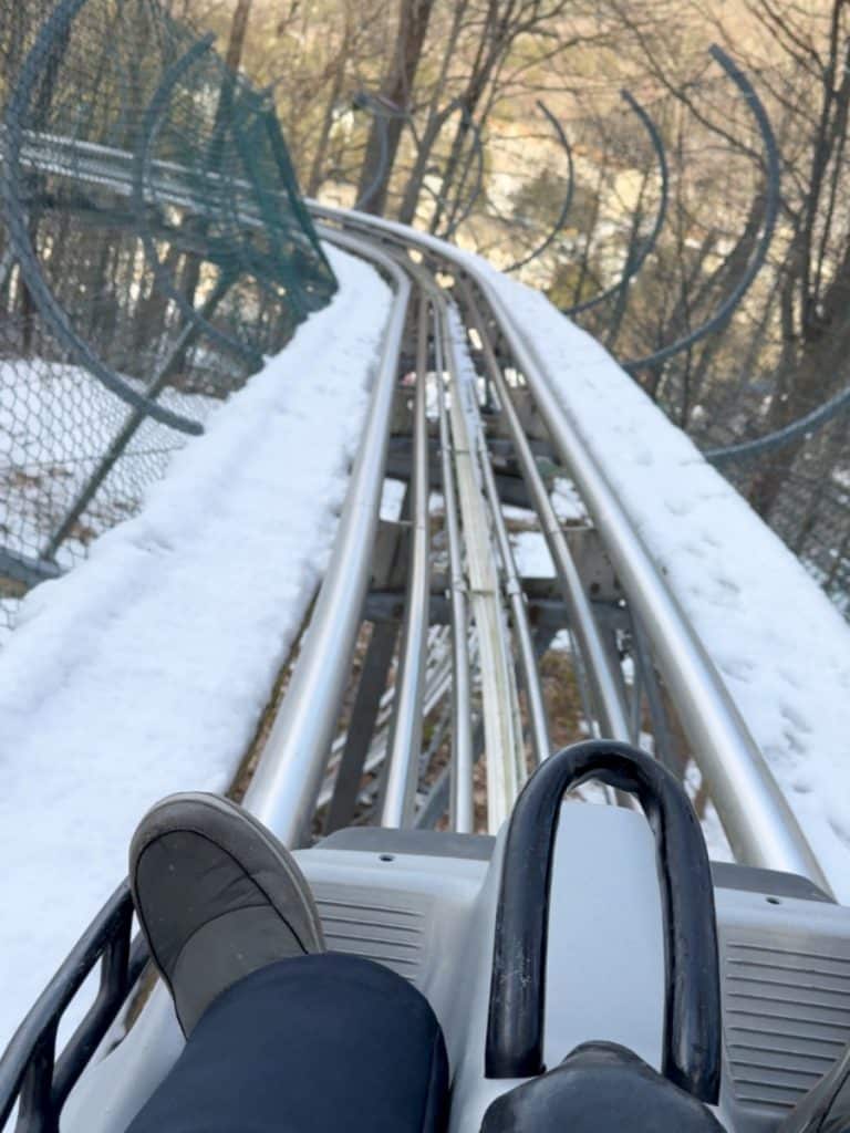 mountain coaster