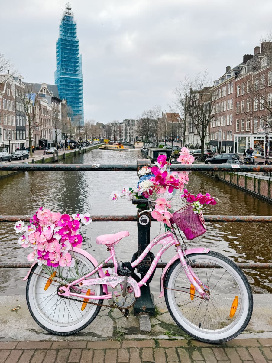 Pink flower bike on canal in Amsterdam