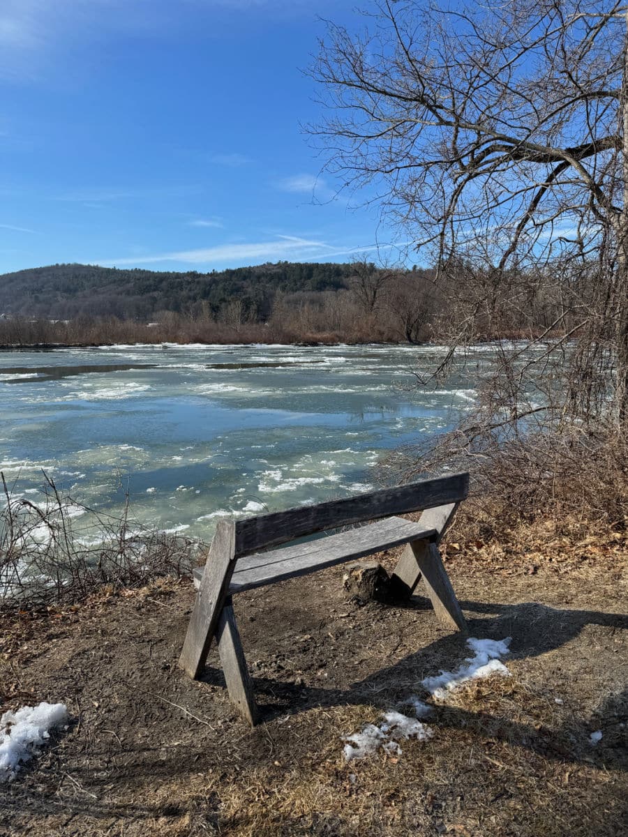 Bench on West River trail